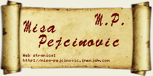 Miša Pejčinović vizit kartica